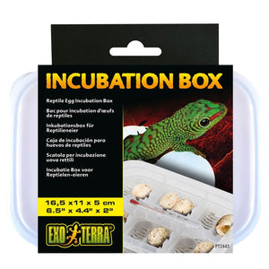 Exo Terra Incubation Box