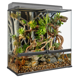 Natural Terrarium/Paludarium Large